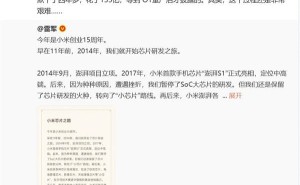 小米造芯之路：四年耗资135亿，林斌坦言历程曲折