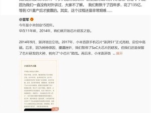 雷军透露：小米大芯片研发四年耗资135亿，过程远比想象艰难