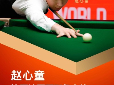 赵心童夺冠比亚迪，共铸亚洲斯诺克新辉煌！