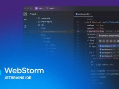 WebStorm 2025.2即将发布：性能优化，Bun包管理器支持增强