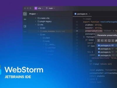 WebStorm 2025.2即将发布：性能优化，Bun包管理器支持增强