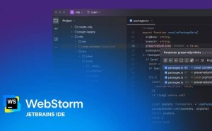 WebStorm 2025.2即将发布：性能优化，Bun包管理器支持增强