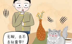 租房养7猫，退房变“案发现场”？房东索赔，法院这样判！