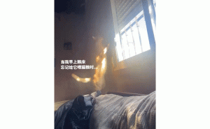 猫咪催起床新招：拉开百叶窗晒醒赖床主人！