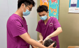 坦洲镇狂犬疫苗接种行动：为爱宠健康，免费接种不等待！
