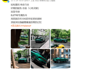 莲花ELETRE专属“加洛韦绿”上线，撞色风波再起？