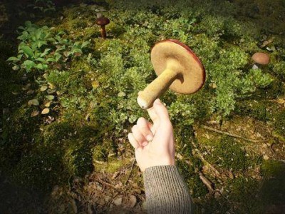 蘑菇猎人模拟器来袭！Steam第三季度带你体验采蘑菇乐趣