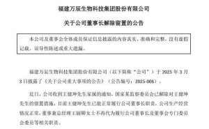 万辰集团董事长回归，营收暴增背后高负债何去何从？