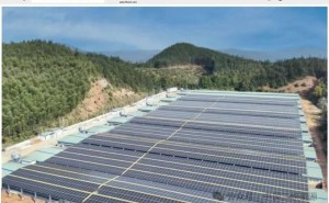 福建最大屋顶光伏项目并网，养鸡场上建电站绿色转型新样本！