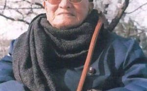 林散之书法：南林北李的传奇，你能否领略其草书之美？