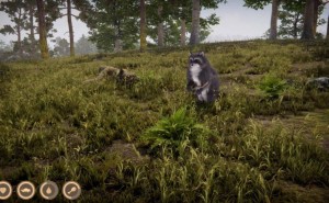 本周Steam新游推荐：从浣熊冒险到烹饪大师，多样游戏等你探索！