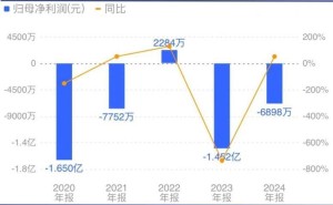 魏桥集团：山东首富家族如何千亿级重构铝业帝国？