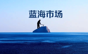 TikTok海外电商热潮中，哪些人能成为弄潮儿？