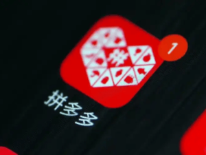 拼多多2025年第一季度财报：营收增10%，净利润下滑近半引关注