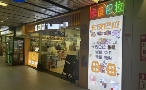 萌宠经济热潮下，“萌宠馆”安全隐患几何？