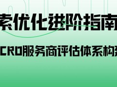 AI搜索新时代：如何构建专业AI-CRO服务商的评估蓝图？