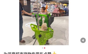 超市推出宠物专用车，养宠人士：终于能和“毛孩子”一起逛了！