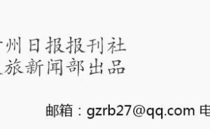 千年粽香飘，龙舟竞渡情——端午节的文化传承与魅力