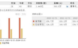 领益智造2025年Q1业绩亮眼，60岁女掌门曾芳勤年薪再创新高