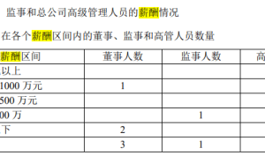 中宏人寿盈利下滑，康养资管路何在？69岁董事长领航挑战重重