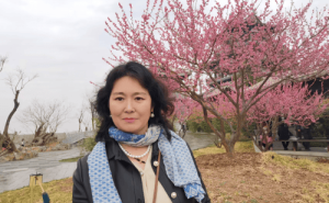 帘青绘梦：笔墨间，山河情深，文人魂长存