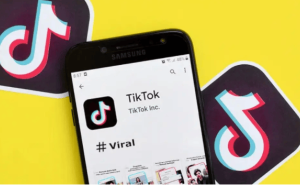 TikTok矩阵破局：从零到百万流量，冷启动策略大揭秘