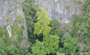 高考地理冲刺：解锁高分思维，掌握关键解题策略