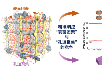 福州大学团队刷新纪录！超稳定丙烷脱氢铂基催化剂问世
