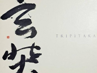 稀有电子游戏《TRIPITAKA》网络重生，游戏保存之路仍漫长