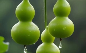 技术与社会：如何找到个人成长的关键驱动力？