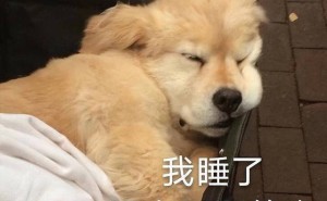 狗狗最爱的睡觉地点，你猜不到！别再乱买狗窝啦！