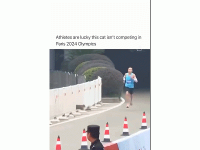 惊喜！获奖照片主角竟是这只猫咪？