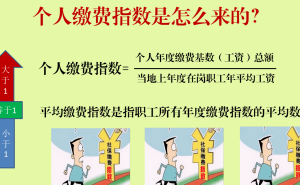 教师职称不同，缴费指数如何影响退休金？副高七级一定更高吗？
