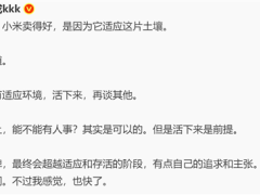 李楠力挺小米自研芯片：卖得好因适应市场，技术成长需循序渐进