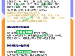 2025国补倒计时！家电手机汽车补贴12月底截止，你准备好了吗？