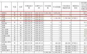 曙光股份连年亏损 董事长年薪倍增 股权激励达标引关注