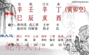 高学历文科生的未来：博士深造还是就业？伤官命理下的抉择