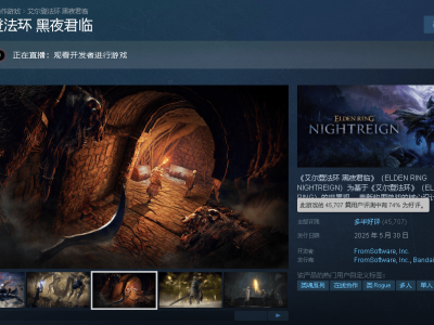 《黑夜君临》：200万销量下的魂游新尝试，为何却让人大失所望？