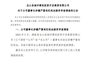 龙山城投董事长田宏应违纪违法被查，公司运营现状如何？