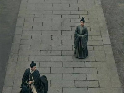 藏海复仇遇庄家，舒适区里显天才布局？