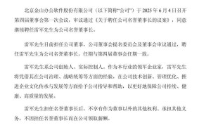 雷军再任金山办公名誉董事长，助力企业创新与发展