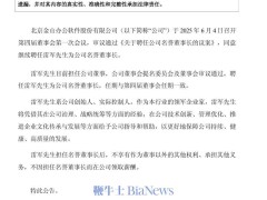 雷軍再任金山辦公名譽董事長，助力企業創新與發展