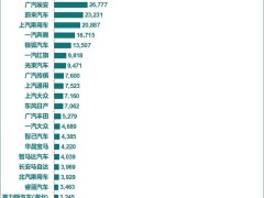 特斯拉中国5月销量再降15%，连续8月下滑，欧洲市场也被比亚迪赶超？