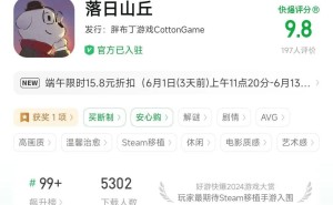 胖布丁CEO小棉花：12年游戏路，初心如何从挣钱变为传递友谊与勇气？