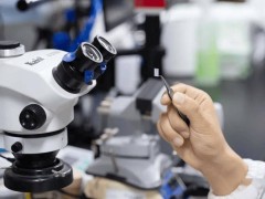 复旦新突破：金属纳米颗粒视网膜假体让失明动物重见光明