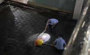 北理工珠海校区保安打死流浪猫“蹭妹”，处置争议校方已回应