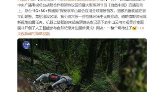 央视“5G+8K+机器狗”探秘哀牢山，超高清镜头记录自然奇观