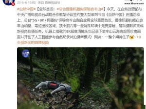 央视“5G+8K+机器狗”探秘哀牢山，超高清镜头记录自然奇观