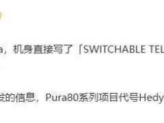 華為Pura80 Pro系列曝光：居中單孔屏，長焦鏡頭有新玩法？