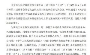 石头科技拟港交所上市，海外业务拓展成募资重头戏